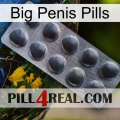 Big Penis Pills 30